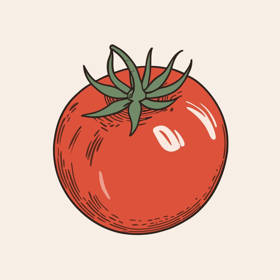 pomodoro clip arte vettore illustrazione