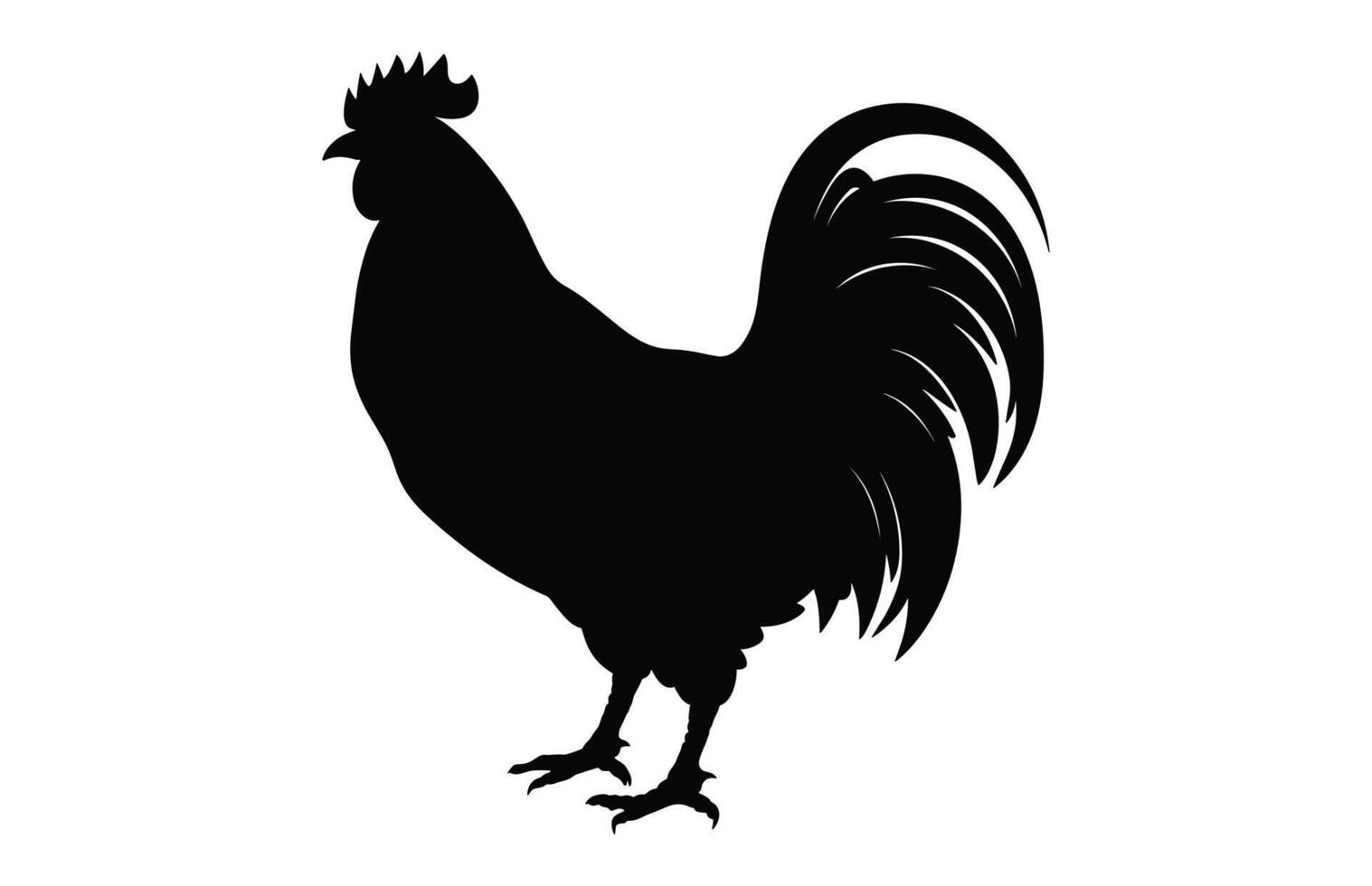 Gallo nero silhouette vettore, cazzo Gallo clipart isolato su un' bianca sfondo vettore