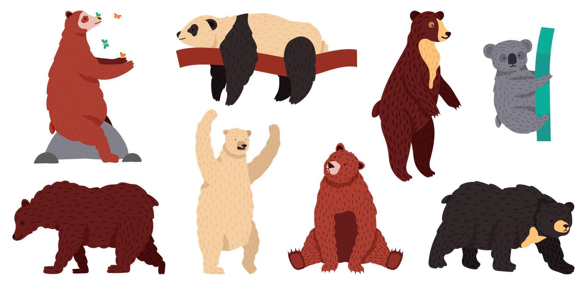 orsi specie. selvaggio mammifero personaggi, peloso foresta predatori, grizzly panda koala e artico bianca orso vettore illustrazione impostato