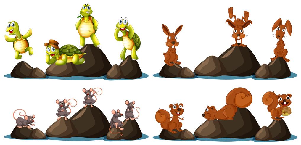Una serie di animali sulla roccia vettore