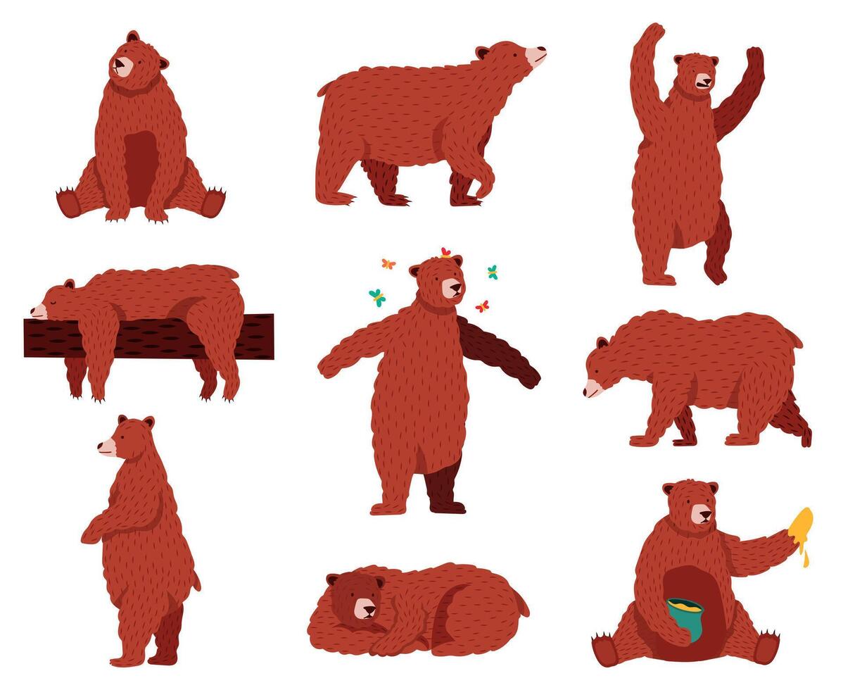 Marrone grizzly orso. cartone animato selvaggio carino orsi, foresta pelliccia animale, seduta, giocando e addormentato natura mammifero, divertente orso vettore illustrazione impostato
