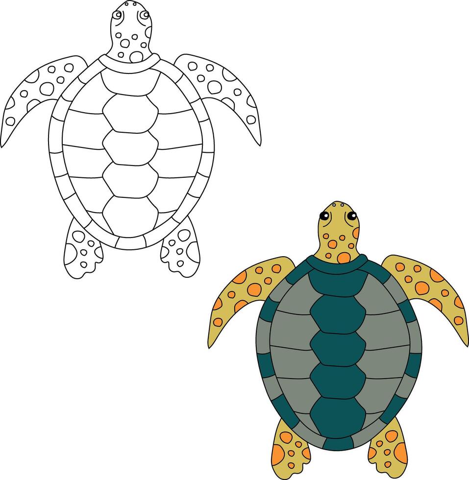 mare tartaruga clipart impostare. schema e colorato tartarughe vettore