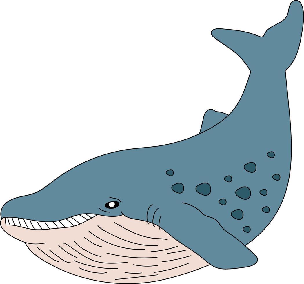 colorato balena clipart per Gli amanti di mare animali vettore