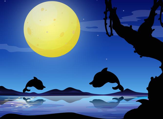 Silhouette sfondo scena con delfino di notte vettore