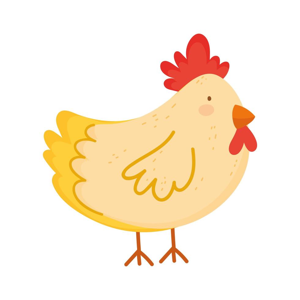gallina pollame animale da fattoria isolato icona su sfondo bianco vettore