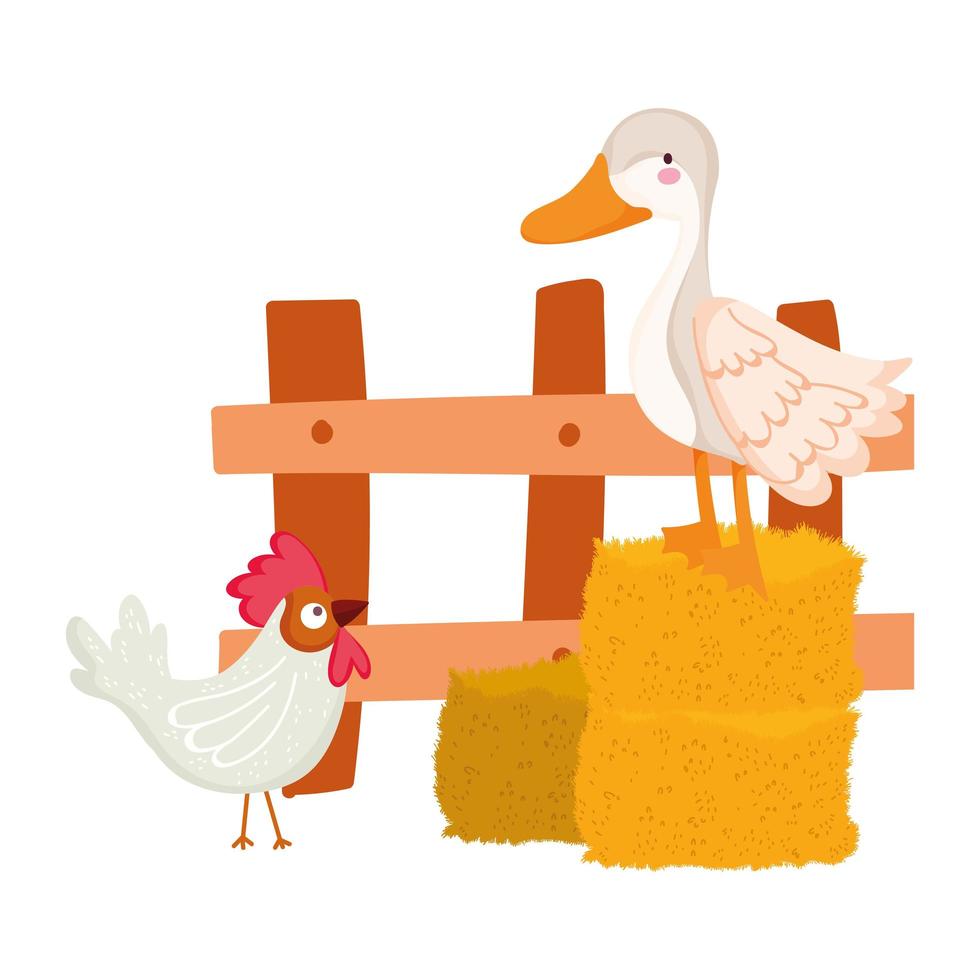 animali da fattoria oca e gallo fieno staccionata in legno cartone animato vettore