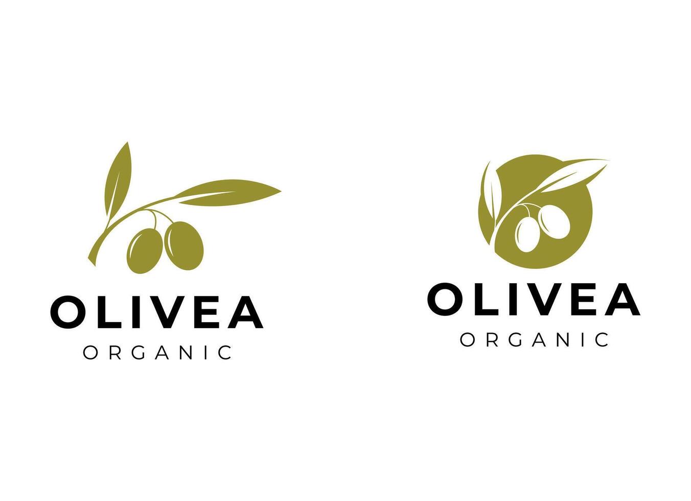 oliva olio logo vettore design