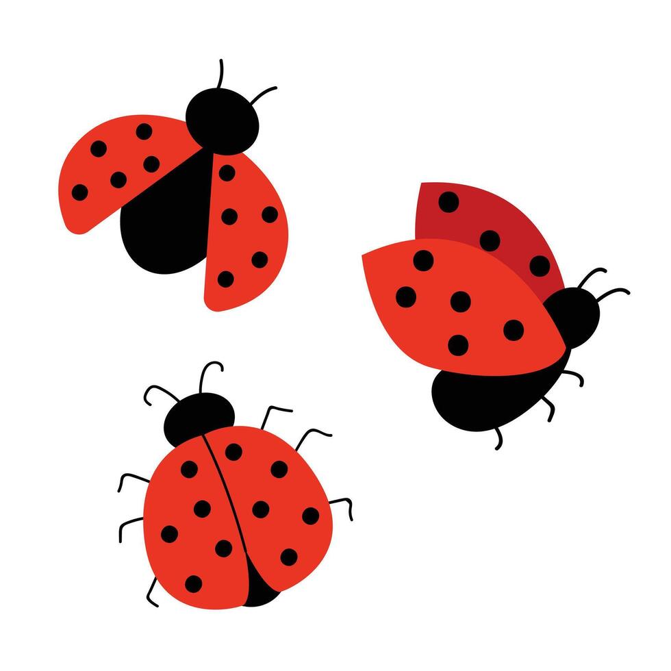 impostato di carino coccinelle. vettore illustrazione con rosso coccinella. mano disegnato stile. bianca isolato sfondo.