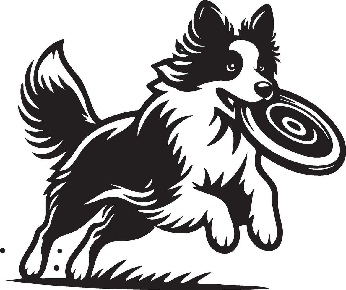 confine collie cane illustrazione. vettore