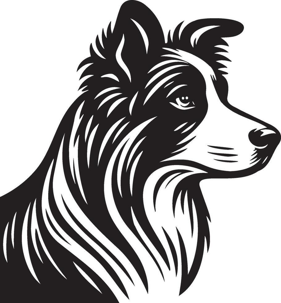 confine collie cane illustrazione. vettore