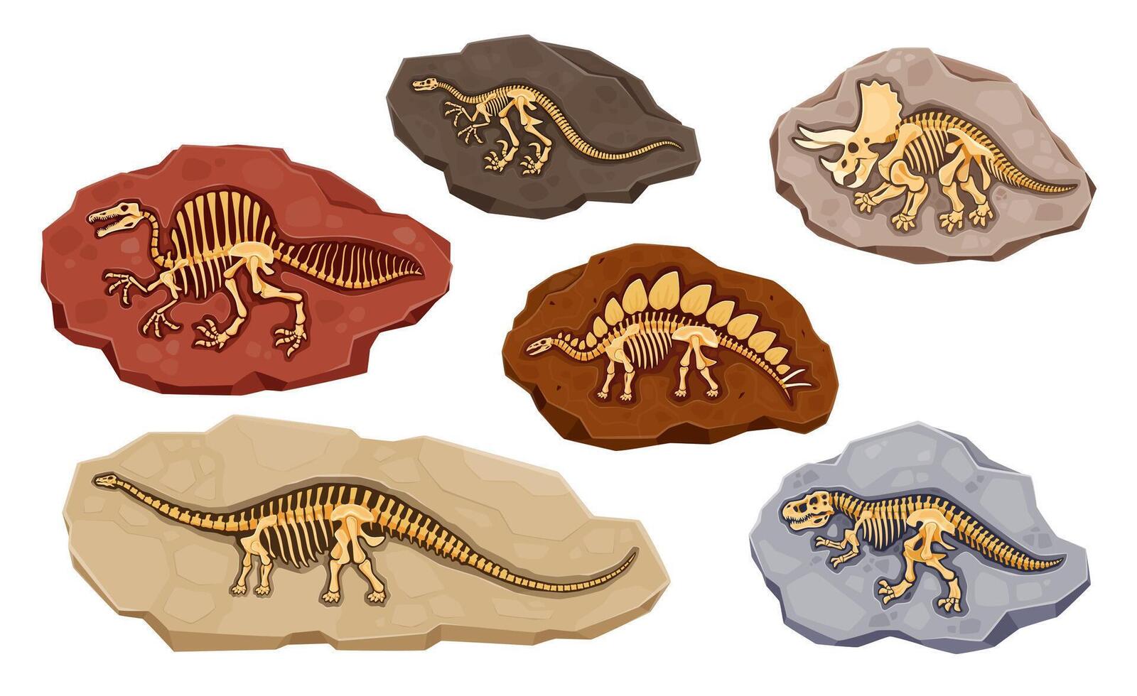 dinosauro fossile ossatura nel pietre o dino scheletri vettore