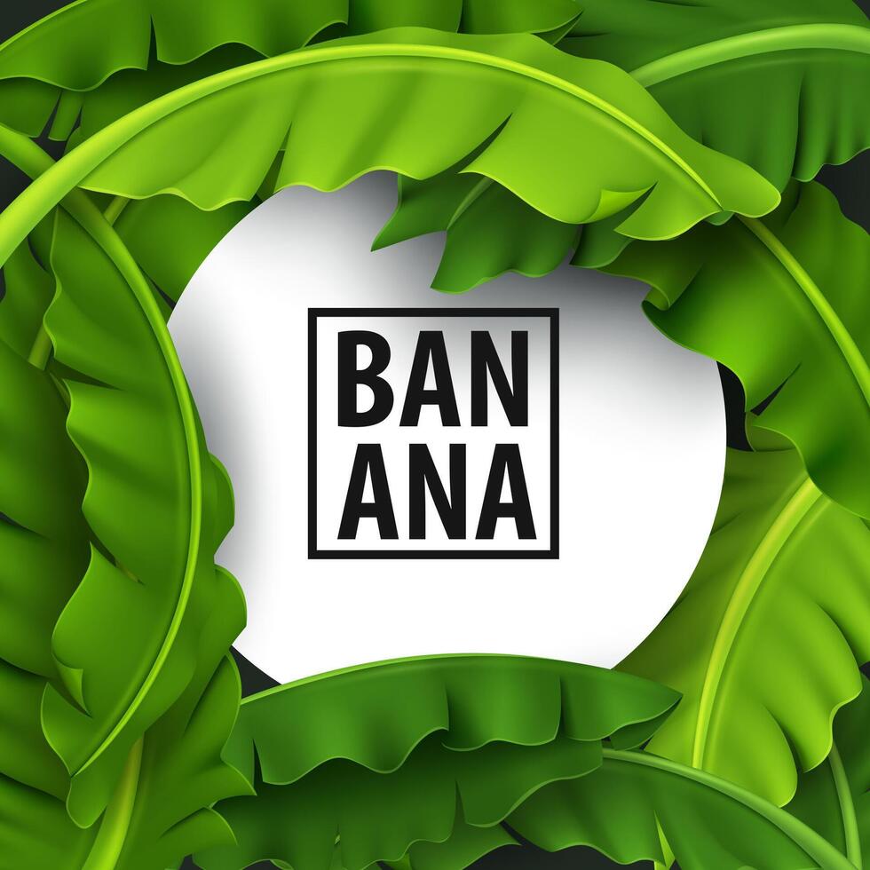 Banana le foglie striscione, verde tropicale foglia, realistico e Guarda fresco, vettore illustrazione
