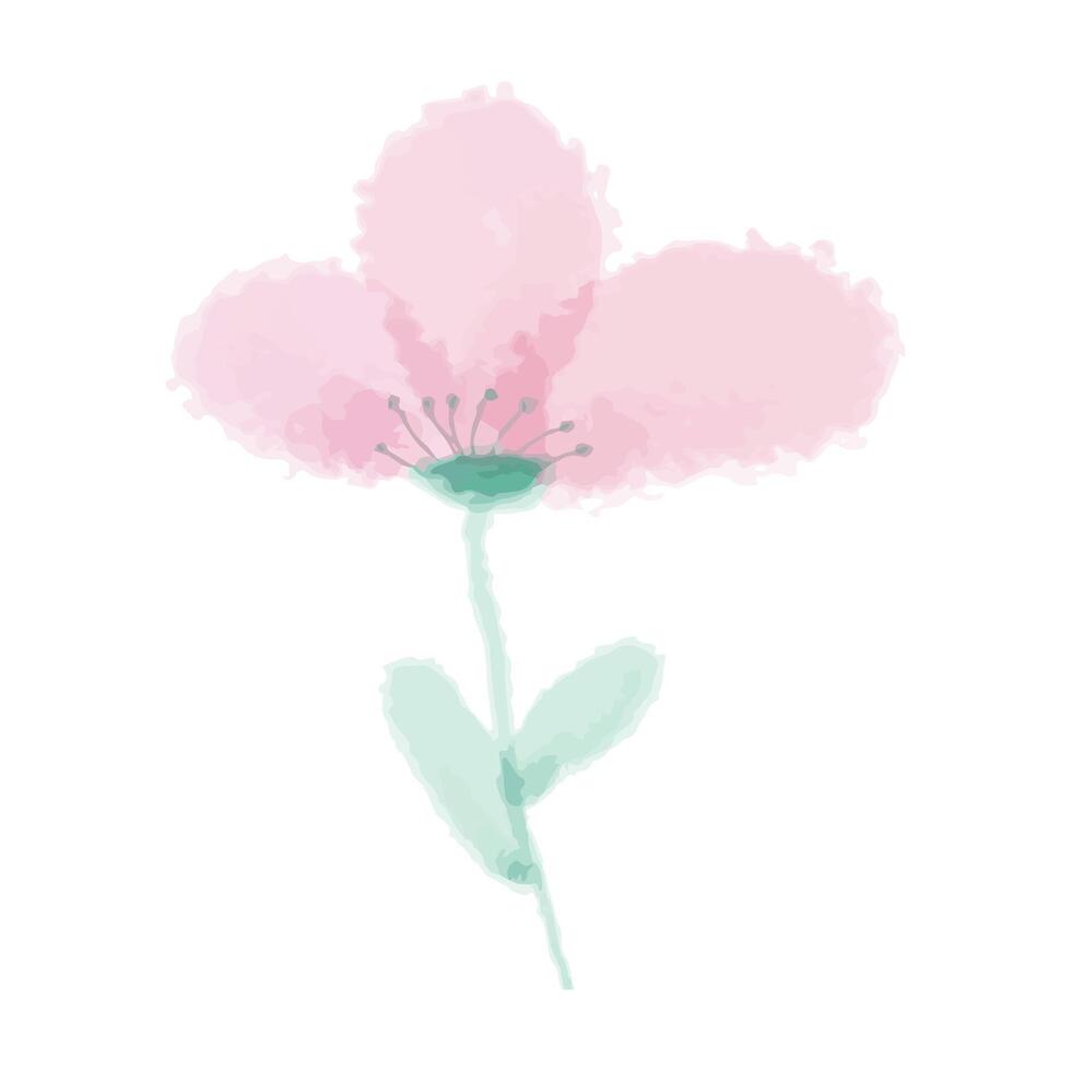 rosa fiore con verde le foglie acquerello. isolato su bianca sfondo. vettore illustrazione