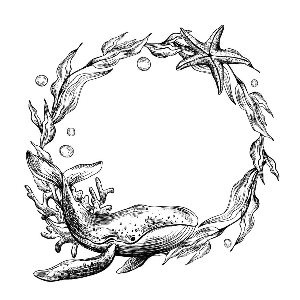 subacqueo mondo clipart con mare animali balena, stella marina, corallo e alghe. grafico illustrazione mano disegnato nel nero inchiostro. cerchio ghirlanda, telaio eps vettore. vettore
