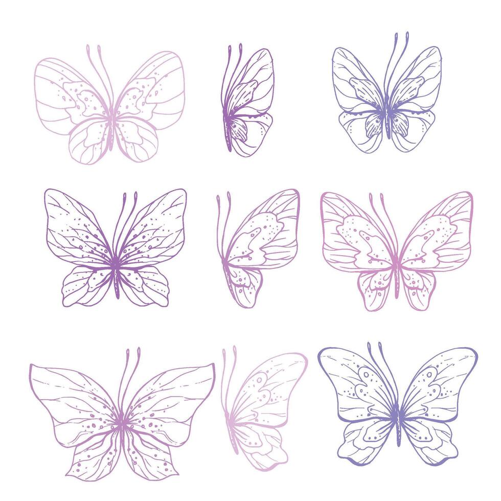 farfalle siamo rosa, blu, lilla, volare, delicato linea arte, clip arte. grafico illustrazione mano disegnato nel rosa, lilla inchiostro. impostato di isolato oggetti eps vettore. vettore