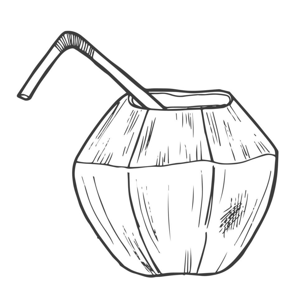 mano disegnato Noce di cocco cocktail isolato su un' bianca sfondo. scarabocchio, semplice schema illustrazione. vettore