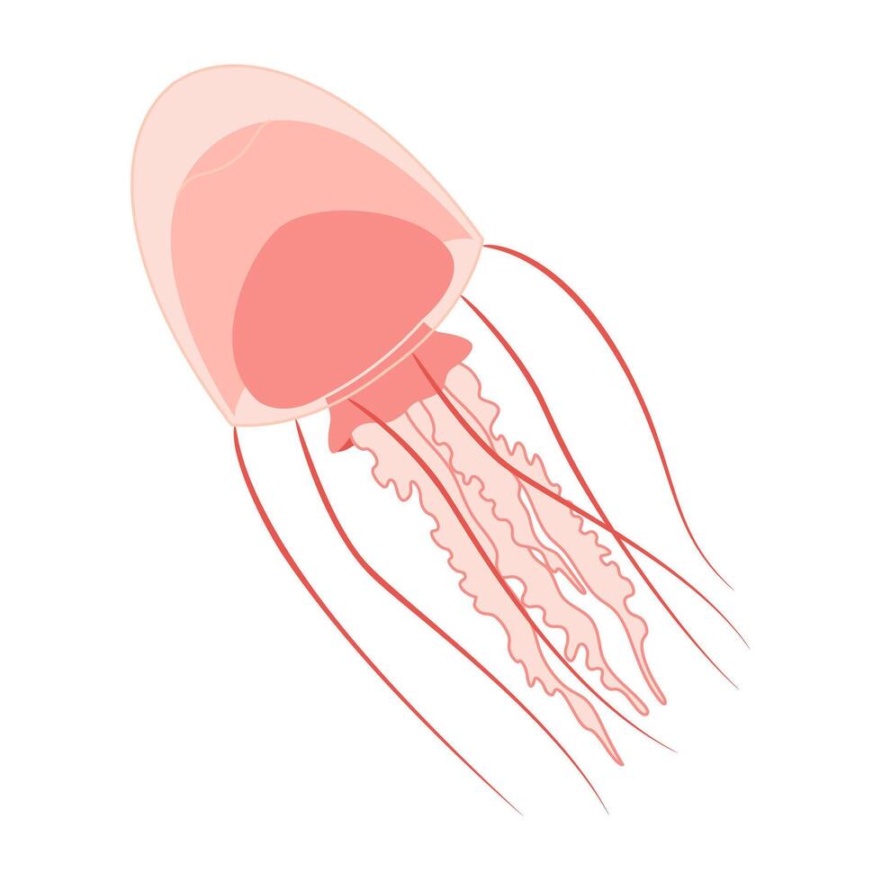 cartone animato rosa Medusa piatto stile. medusa vettore illustrazione. moderno piatto illustrazione Medusa isolato su bianca sfondo. vettore illustrazione