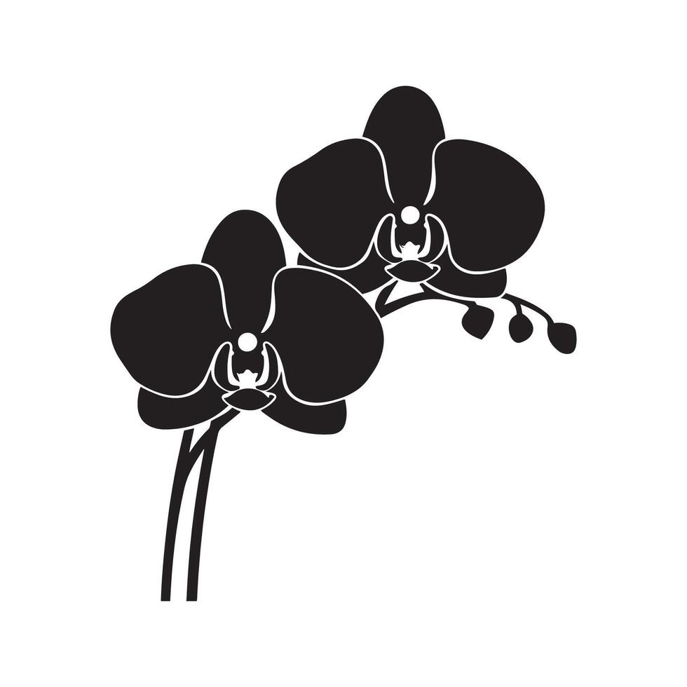 orchidea vettore arte silhouette illustrazione