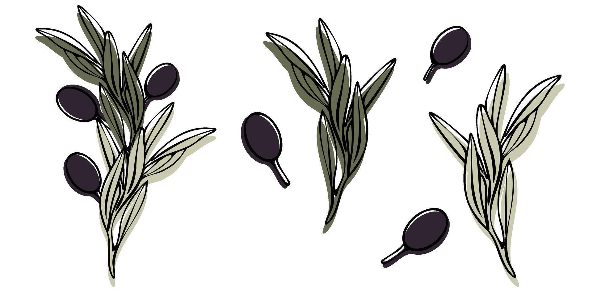vettore oliva albero ramo con le foglie e olive frutta. mano dipinto schema floreale illustrazione con colore sfondo per logo, pacchetto disegno, saluti, sfondi, Stampa, tessuto
