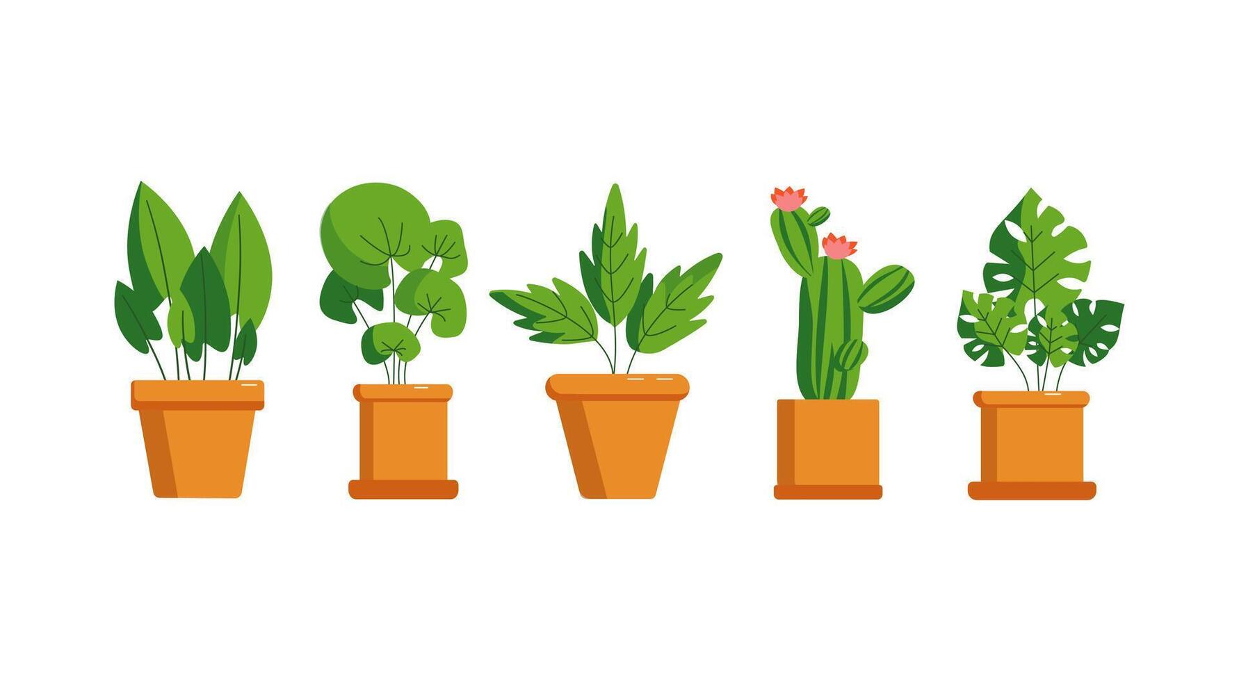 impostato di casa impianti. fiore nel pentola. pianta della casa, in vaso pianta. cactus, le foglie. ceramica pentola. vettore illustrazione su isolato sfondo.