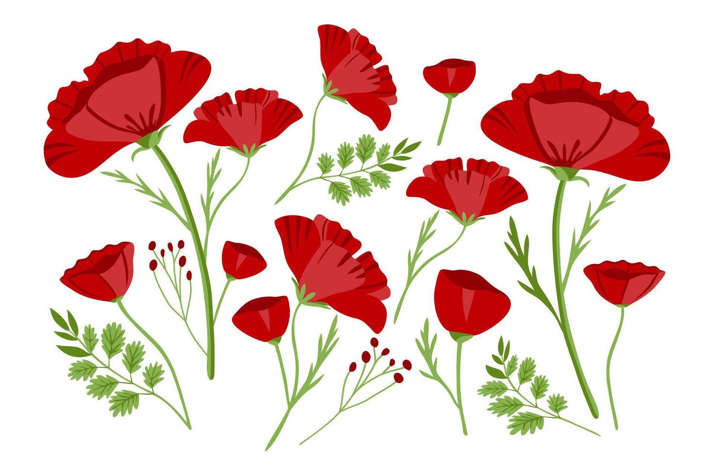 rosso papavero fiori. campo Fiore di campo nel piatto stile. rosso papaveri isolato su un' bianca sfondo. vettore illustrazione.