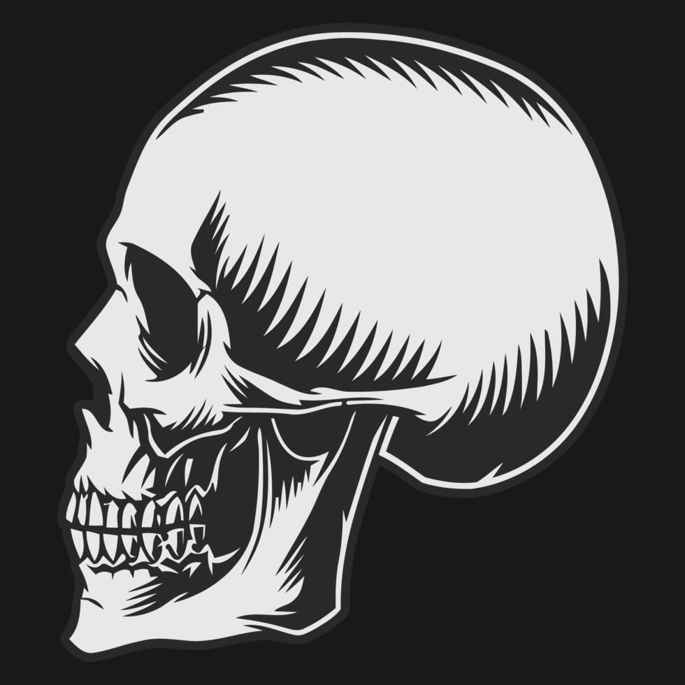 nero e bianca umano cranio vettore