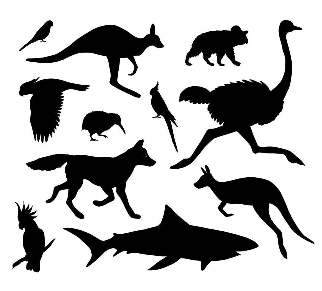 vettore impostato fascio di Australia animale silhouette