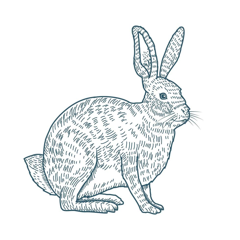 icona di stile disegnato personaggio realistico coniglio vettore