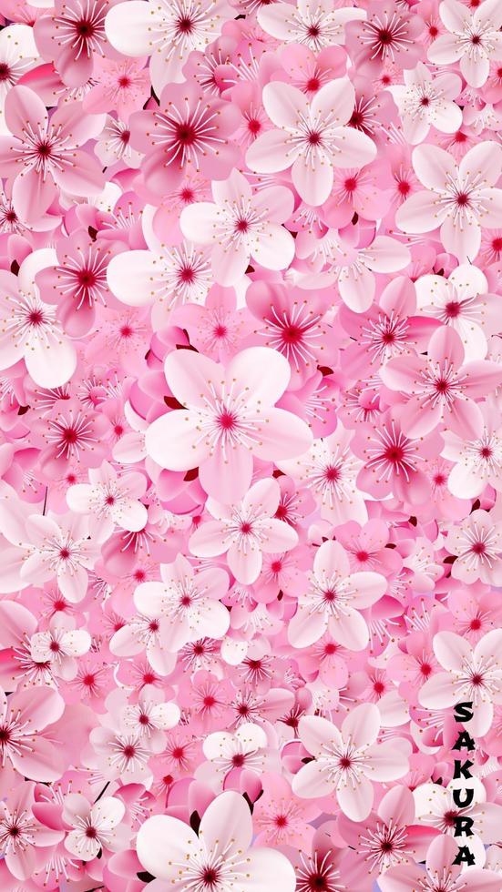 sfondo di fiori di sakura rosa sbocciante. bella stampa vettore