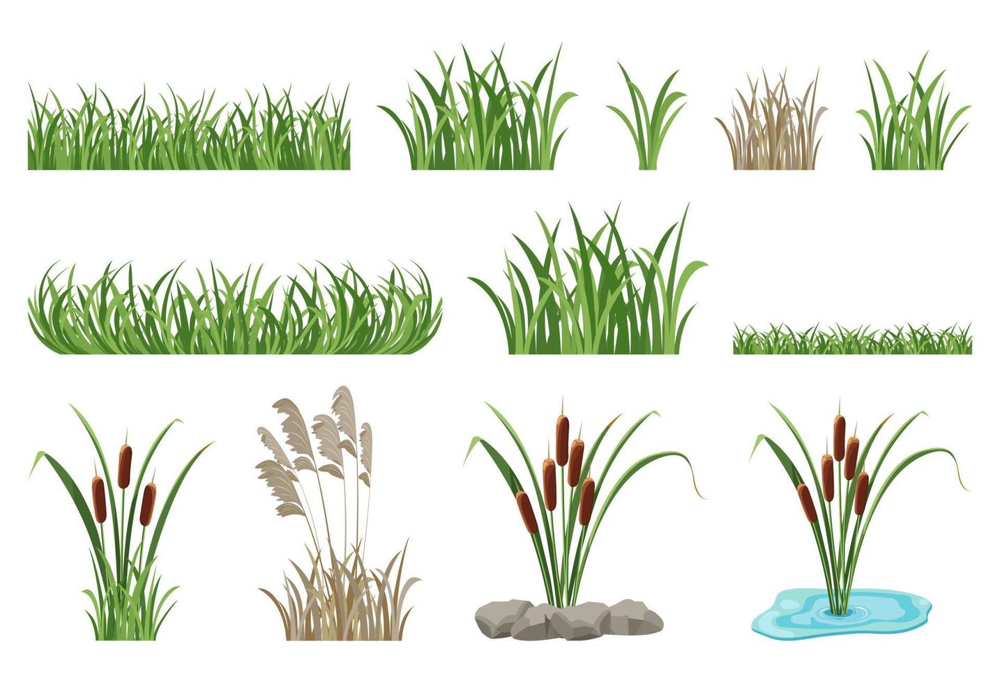 serie di illustrazioni di canne, tife, elementi di erba senza soluzione di continuità. vettore