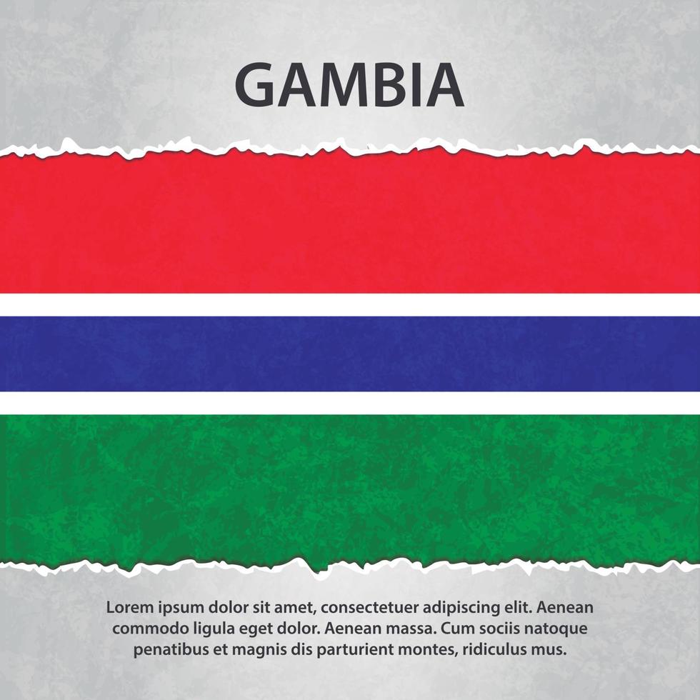 bandiera gambia su carta strappata vettore