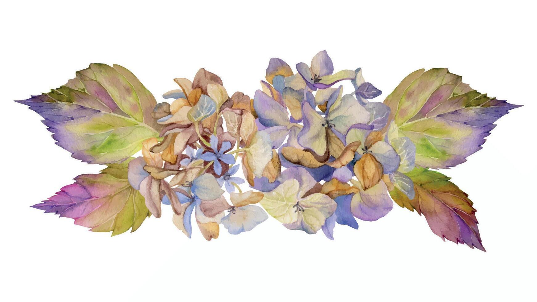 mano disegnato acquerello illustrazione squallido boho botanico fiori le foglie. ortensia hortensia viola secco infiorescenza steli. composizione isolato su bianca sfondo. design nozze, amore carte vettore