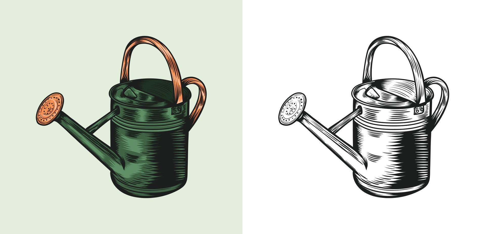 giardino attrezzo giardinaggio irrigazione può Vintage ▾ mano disegnato vettore illustrazione