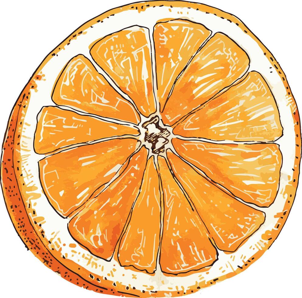 arancia metà frutta cibo decorazione. vettore
