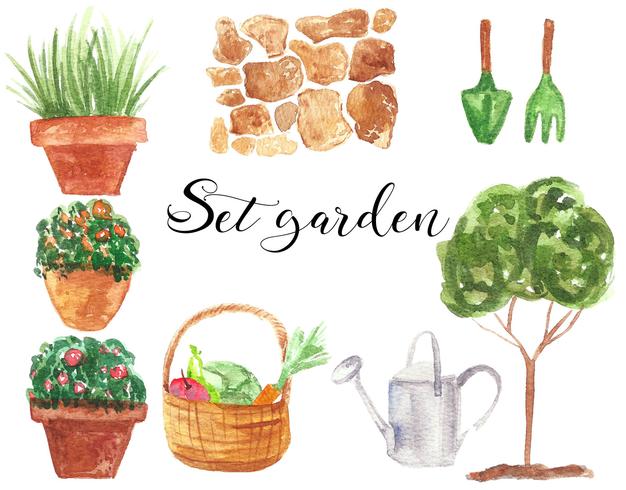 Set da giardino Illustrazione ad acquerello Isolato. Naturale, organico. Pianta, fiori, albero, irrigazione, percorso. Verde, marrone, rosso. Vettore. vettore
