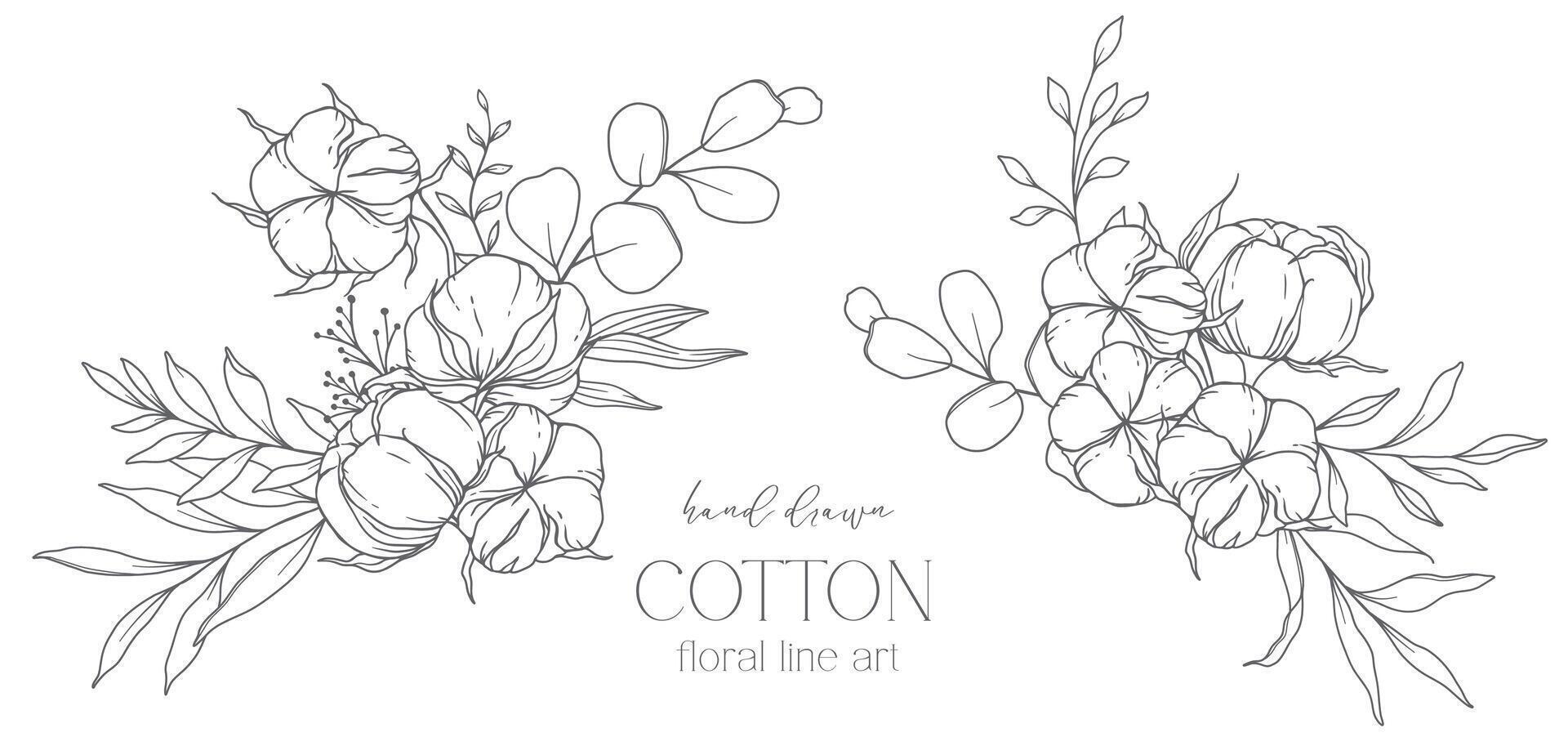 mano disegnato cotone fiori linea arte illustrazione. cotone palle isolato su bianca. floreale linea arte. cotone pianta nero e bianca illustrazione. bene linea cotone illustrazione. vettore