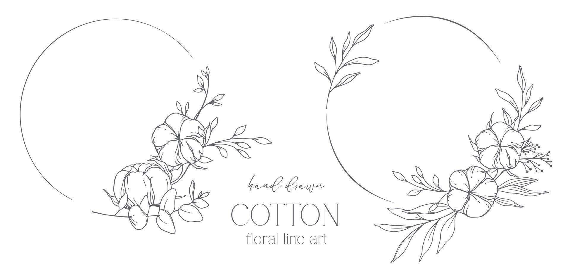 mano disegnato cotone fiori linea arte illustrazione. cotone palle isolato su bianca. floreale linea arte. cotone pianta nero e bianca illustrazione. bene linea cotone illustrazione. vettore