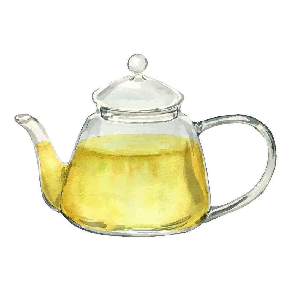 acquerello illustrazione di trasparente teiera con erbe aromatiche tè isolato su bianca . bicchiere teiera con verde tè. bicchiere utensile mano disegno. giallo caldo bere. per etichetta erbaceo impianti, verde tè vettore