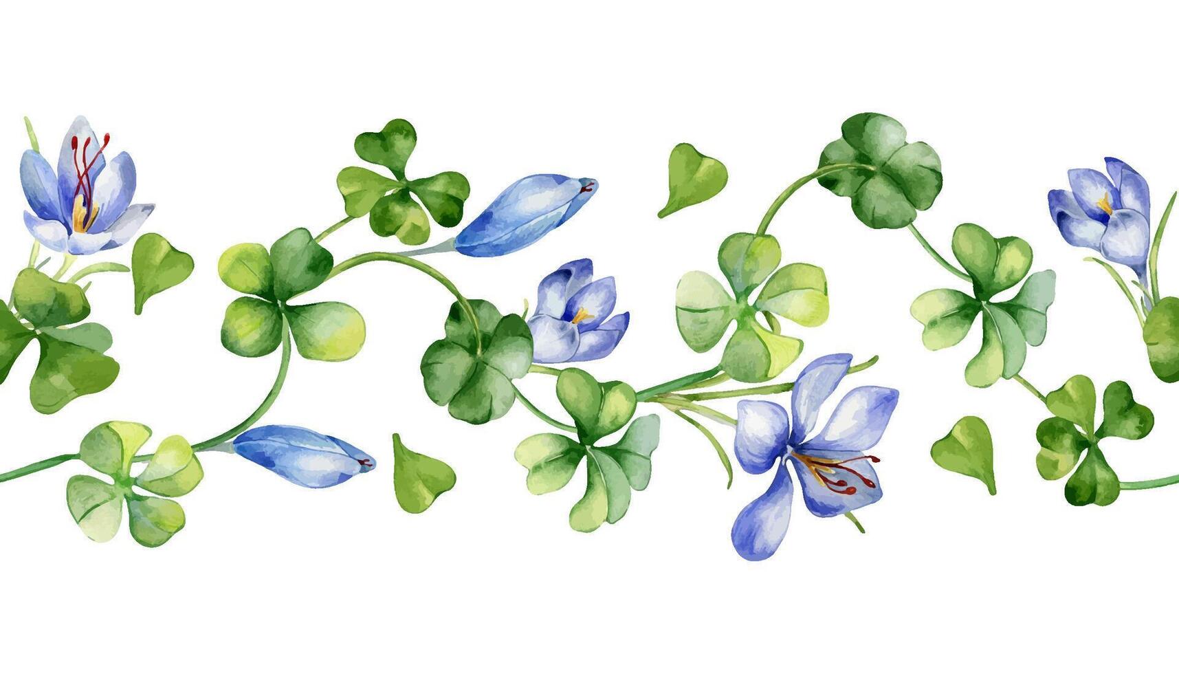 senza soluzione di continuità confine con zafferano e trifoglio acquerello illustrazione isolato su bianca. dipinto erbaceo impianti e fiori. mano disegnato irlandesi simbolo. design elemento per st. patrick giorno, Pasqua, pacchetto. vettore