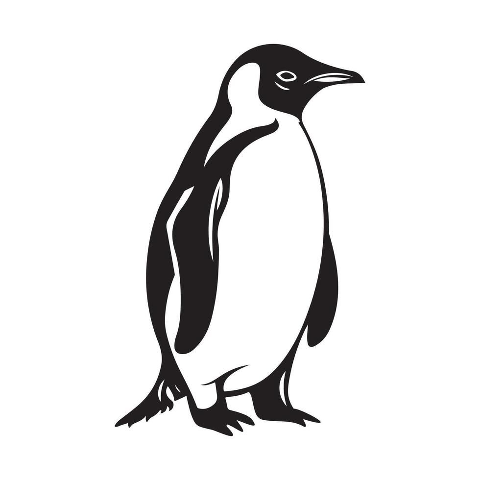 pinguin vettore arte e grafica