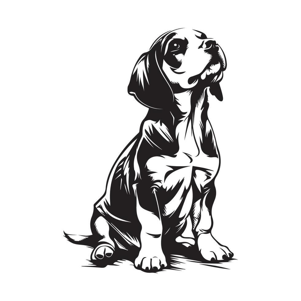 beagle vettore arte, icone, e grafica