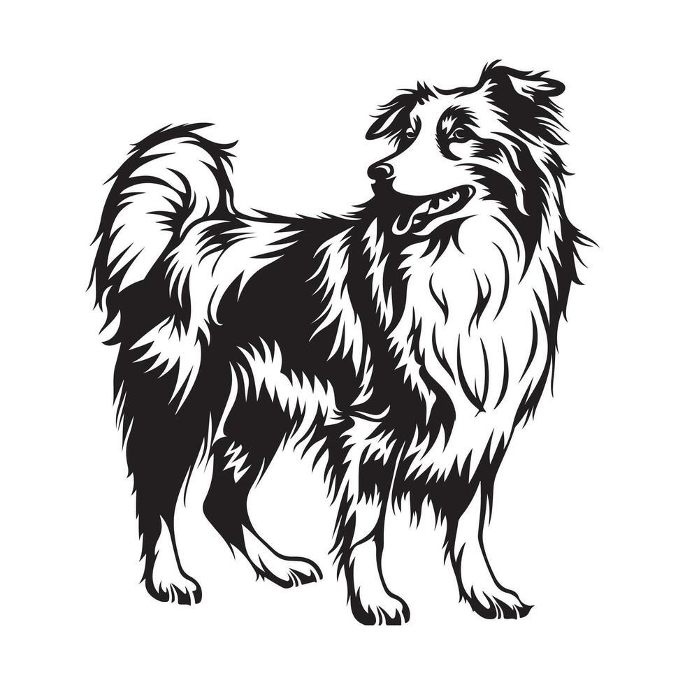collie cane vettore immagini, illustrazione di un' collie cane