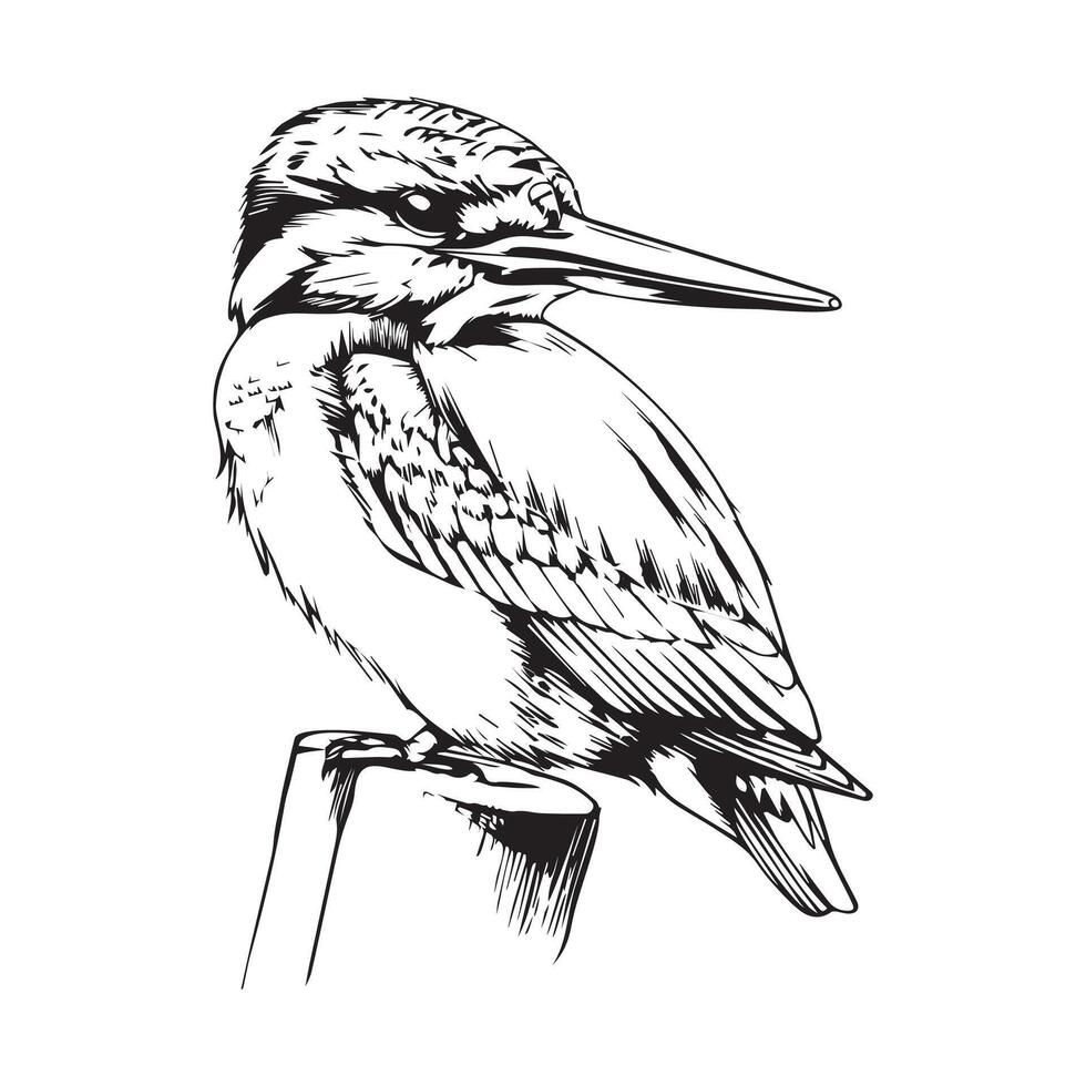 cardellino uccello vettore illustrazione su ramo azione vettore