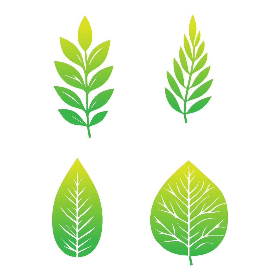 verde foglia icona. le foglie icona su isolato sfondo. collezione verde foglia. elementi design per naturale, eco, vegano, bio etichette. vettore illustrazione
