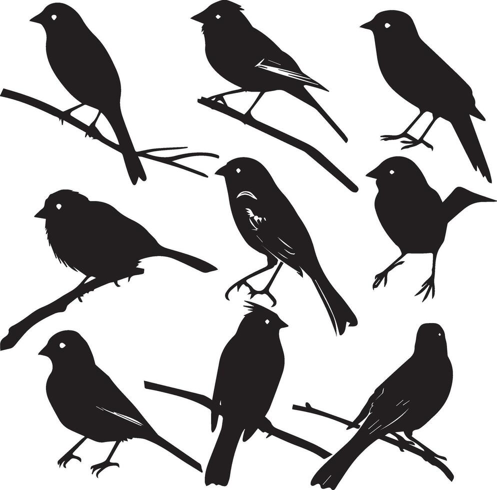 impostato di uccelli nero silhouette su bianca sfondo vettore