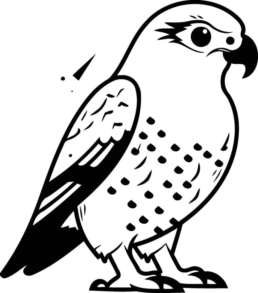 pellegrino falco. vettore illustrazione su un' bianca sfondo.