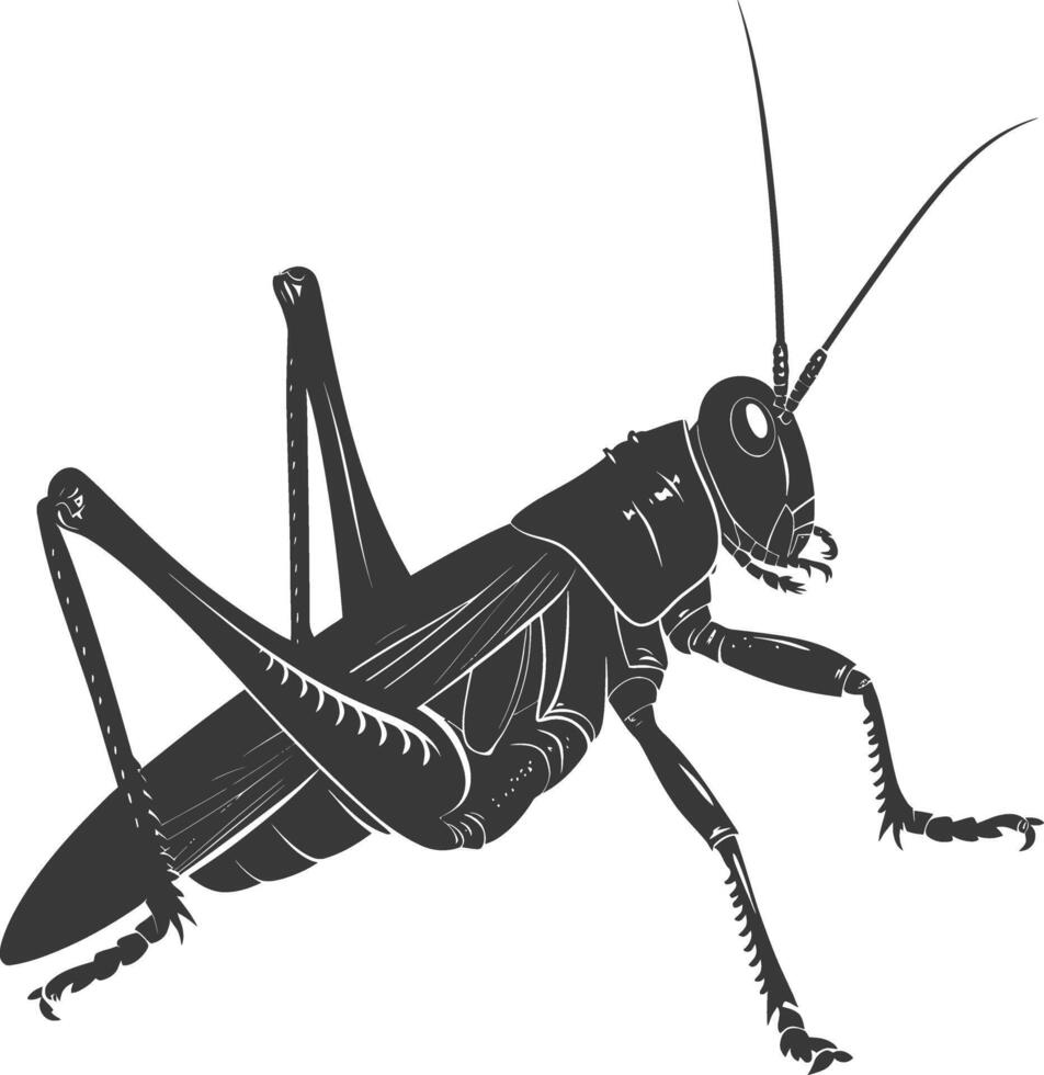 ai generato silhouette cricket insetto animale nero colore solo vettore