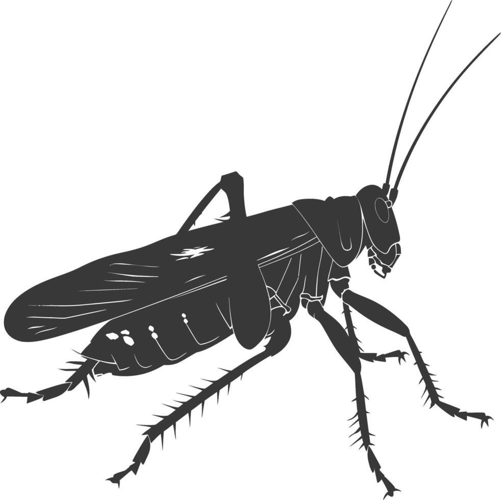 ai generato silhouette cricket insetto animale nero colore solo vettore