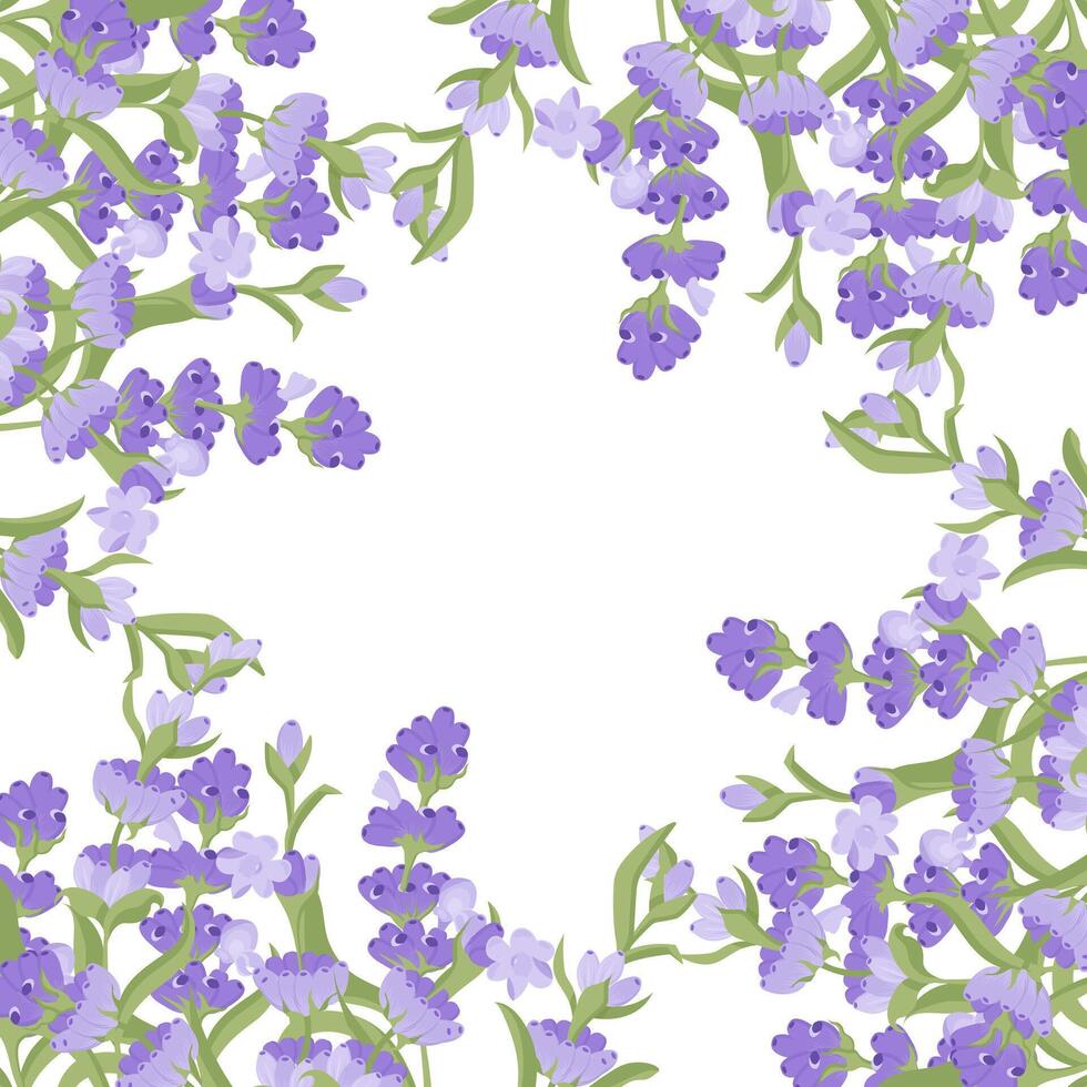 decorativo telaio di lavanda fiori per il tuo design. vettore illustrazione isolato su bianca sfondo.