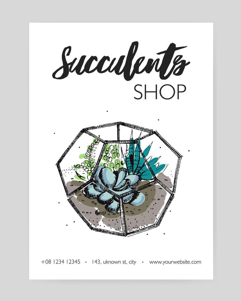 minimalista aviatore modello con verde succulente in crescita nel bicchiere geometrico florarium mano disegnato su bianca sfondo. interno pianta decorazione. vettore illustrazione per fioraio negozio annuncio.